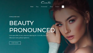 Portfolio 7 300x172 2